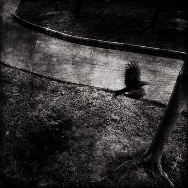 免费ddos平台攻击